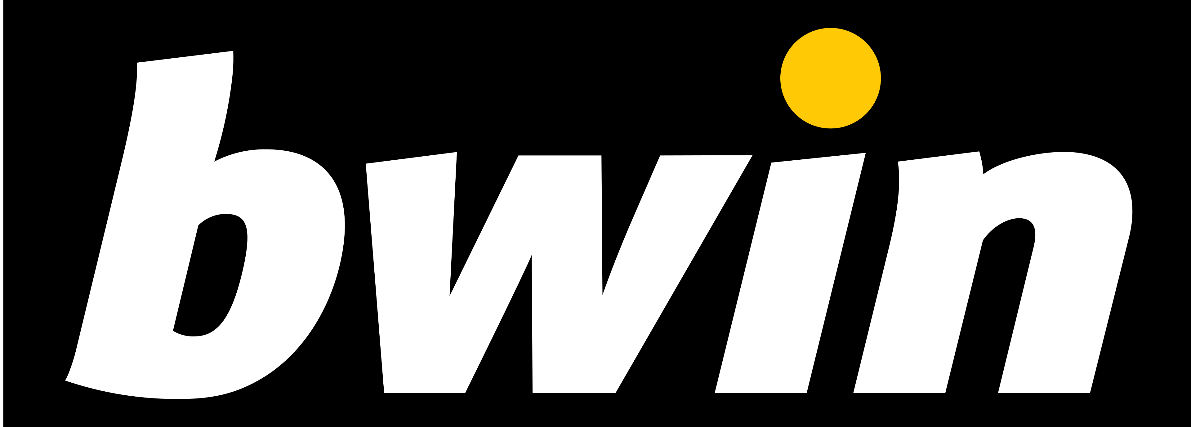 Logo bwin Italia